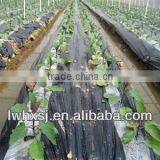 Hengxiang SS-DM1800 Twin Colors Film Series Blowing Machine Set thumbnail-1