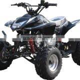 High Quality 110cc Automatic Sport ATV for Kids Drive (TKA110-A) thumbnail-5