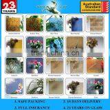 3-8mm Waterfall Pattern Glass With CE and ISO9001 thumbnail-1