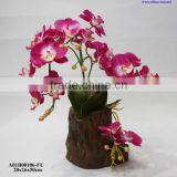 Potted Orchid thumbnail-1