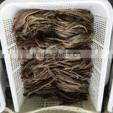 New Season Salted Anchovy Fillet thumbnail-5