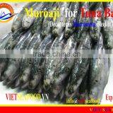 MUROAJI FOR TUNA BAIT thumbnail-1