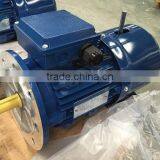IE2 or IE3 Efficiency Manual Three Phase Induction 0.37kW Brake Motor thumbnail-1