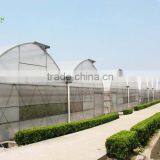 Low Cost PEP Plastic Film Covering Tunnel Tomato Greenhouse thumbnail-3