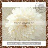 Pretty Handmade Sola Flowers Wholesale for Decoration and Air Freshener thumbnail-2