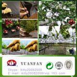 Agriculture UV Treated 100% pp Spunbond Agriculture Black Plastic Film thumbnail-4