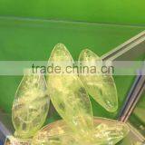 Glycerine Soap thumbnail-2