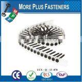 Made in Taiwan Phillips Bugle Head Coarse or Fine Thread Sharp Point Drywall Screw Collated in Plastic Strips thumbnail-6