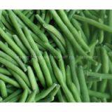 Frozen Green Bean thumbnail-1