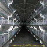Poultry Housing System_shandong Tobetter Years of Experience