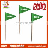 High Quality Paper Fruits Toothpick Flag