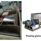 High Efficiency Seitan Washing Machine thumbnail-4