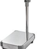 Commercial Scale thumbnail-2