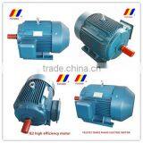 IE2/IE3 High Efficiency High Speed Three Phase Asynchronous Electric Motor thumbnail-5