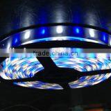 DC12V Dc24v SMD 5050 LED Strip RGBW thumbnail-6