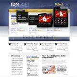 Custom Website Development