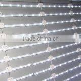 LED Backlight LED Ladder Module for Signage thumbnail-4