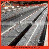 Chicken Use Welded Wire Chicken Layer Cages Chicken Farm Equipment 120 Birds thumbnail-5