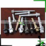 Railway Coach Screws/screw Spikes/Galvanized Sleeper Screws thumbnail-4