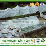 Agriculture Weed Control Material pp Spunbond Nonwoven Fabric thumbnail-4