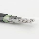 The 8000 Series Aluminum Alloy Concentric Cable thumbnail-5