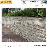 Vietnam Cladding Stone thumbnail-1