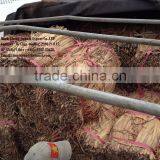Water Hyacinth Fiber Qiu Qiu : 2598494113 thumbnail-2