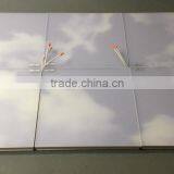 100-240VAC 600X600MM 48W SMD3528 Ceiling Suspended Frameless Sky LED Panel Light thumbnail-6