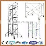 New Product Scaffold for Sale