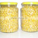 Canned Fruits thumbnail-3