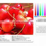 Printing Self Adhesive