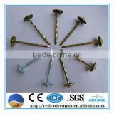common nails/Electric Galvanized Roofing nail /umbrella roofing nails