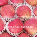 Sell Super Fuji Apple Fruit
