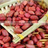 Red Skin Peanuts 50/60 40/50/blanched Peanuts/peanut in Shell thumbnail-2
