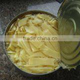 Freshly and Healthy Canned Bamboo Shoots Canned Vegetable thumbnail-4