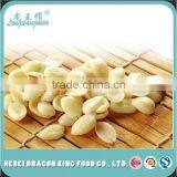 Sample of Long Wang Mao Apricot Kernel Seeds thumbnail-3