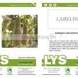 PU02 Lijian f1 Hybrid Sweet Pumpkin Seeds for Planting thumbnail-2