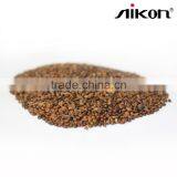 Seabuckthorn Seed thumbnail-3