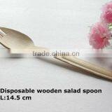 Disposable Wooden Spoon & Fork thumbnail-1
