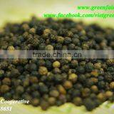 Thuan An Black Pepper with fairtrade certification