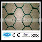 Galvanzied Hexagonal Wire Netting for Good Sale thumbnail-1