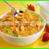 2016 Special Design Stainless Steel Corn Flakes Production Line With CE thumbnail-2