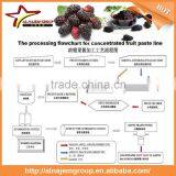 Best Sale Full Automatic Industrial Mulberry Jam Maker Machine High Viscosity Production Line Mulberry Paste thumbnail-5