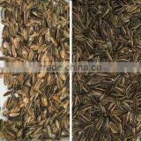 Sunflower Seeds Color Sorting Machine/sunflower Seeds Color Sorter Machine thumbnail-5