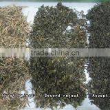 ZRWS Intelligent Color CCD Camera Green Tea Color Sorter thumbnail-3