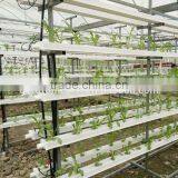Vertical Hydroponics System thumbnail-3