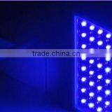 Factory Wholesale uv Led 365nm,380nm uv Led, uv Led 400nm thumbnail-3