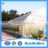 Baolida Single-span Tunnel Agriculture Greenhouse thumbnail-6