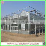 Commercial Steel Frame Venlo Polycarbonate Greenhouses With Irrigation System thumbnail-2