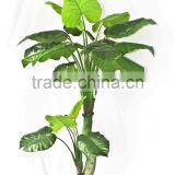 Artificial Natural Touch Taro Evergreen Plants thumbnail-2